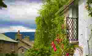 Dove Cottage