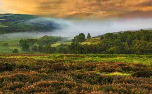 Pennine moors