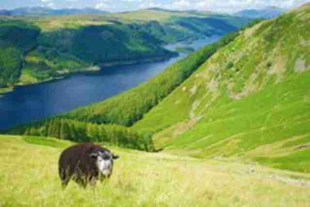 Thirlmere