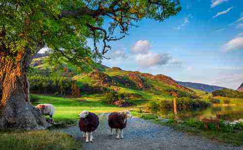 Scenic Lake District tours